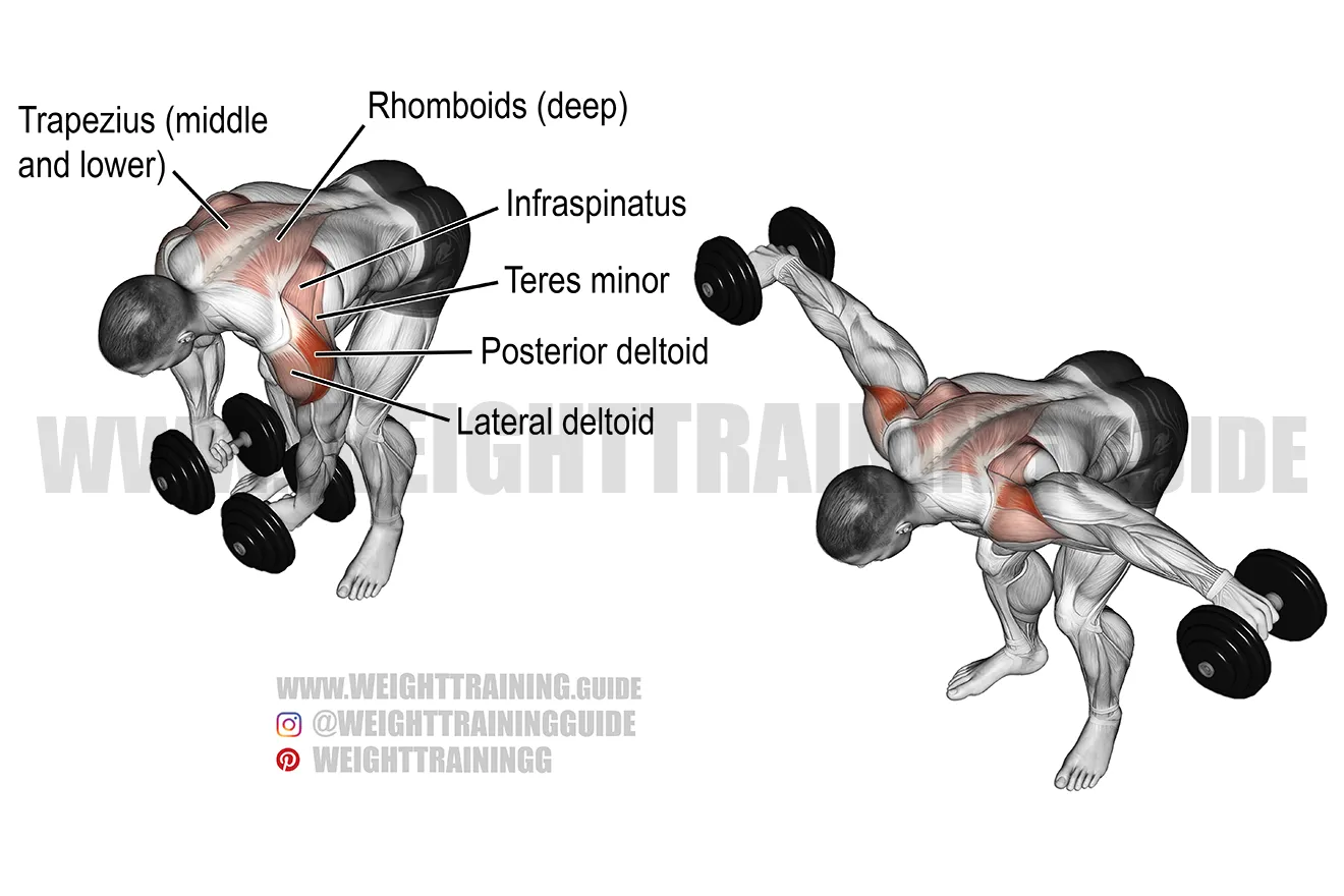 Dumbbell Bent-Over Lateral Raise