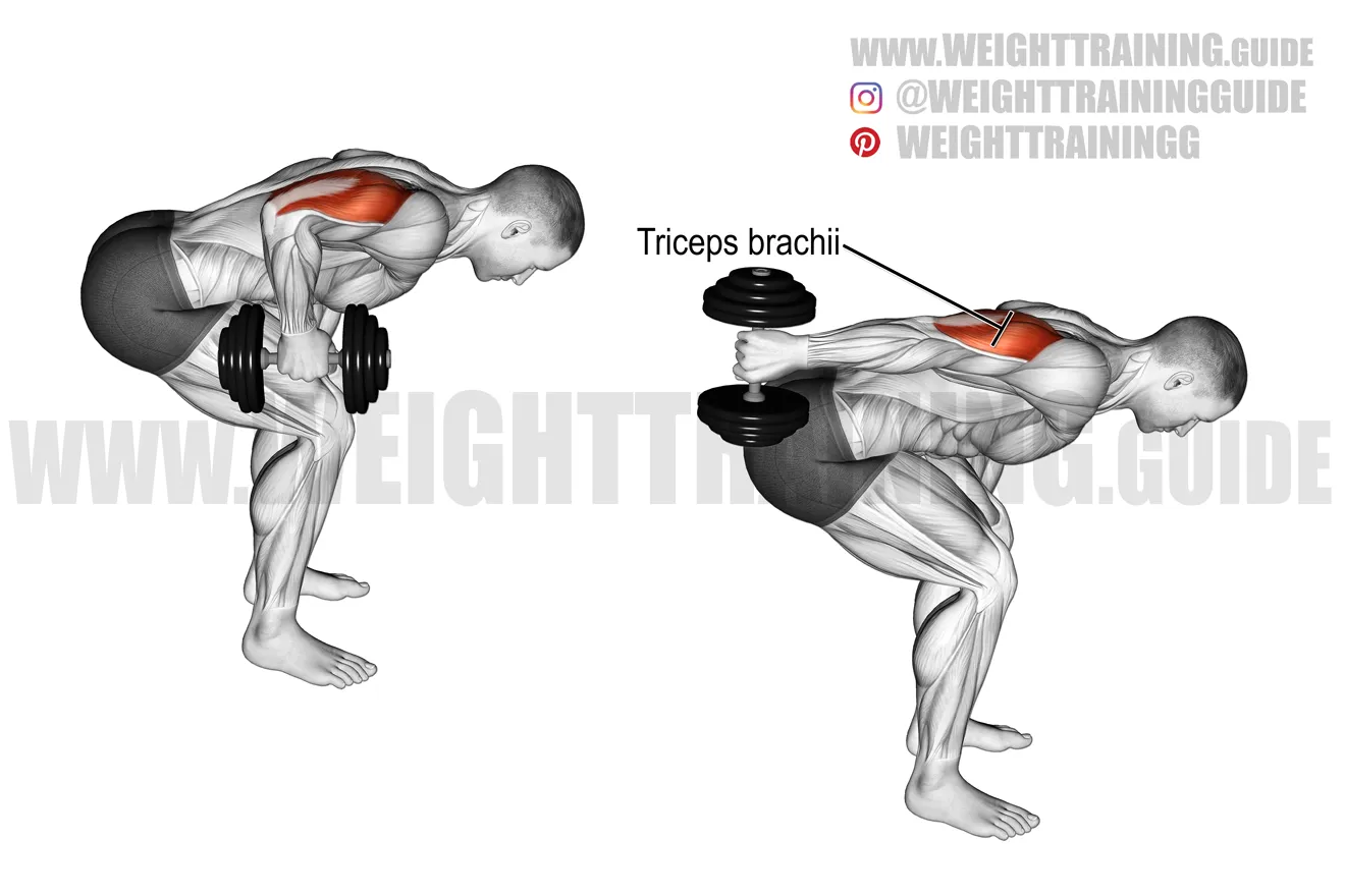Standing Dumbbell Kickback