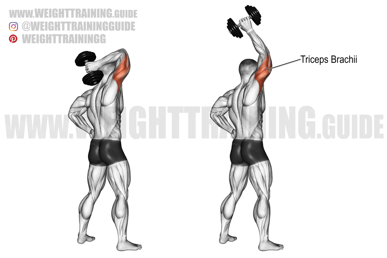 Dumbbell Triceps Extension