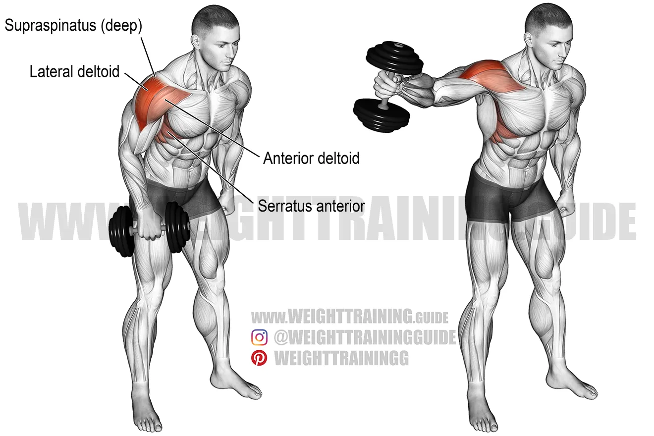 Dumbbell Side Raises