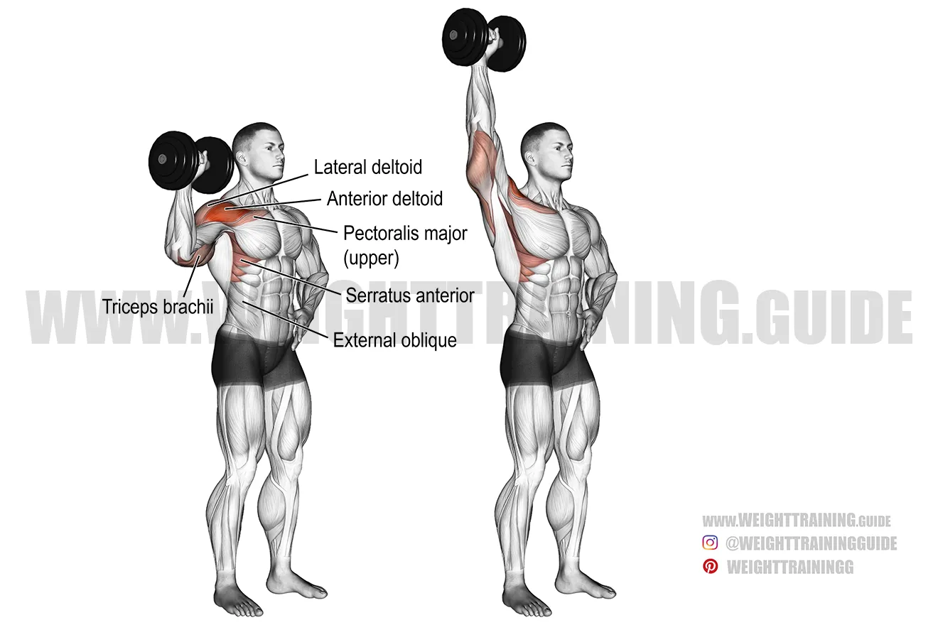 Dumbbell Shoulder Press