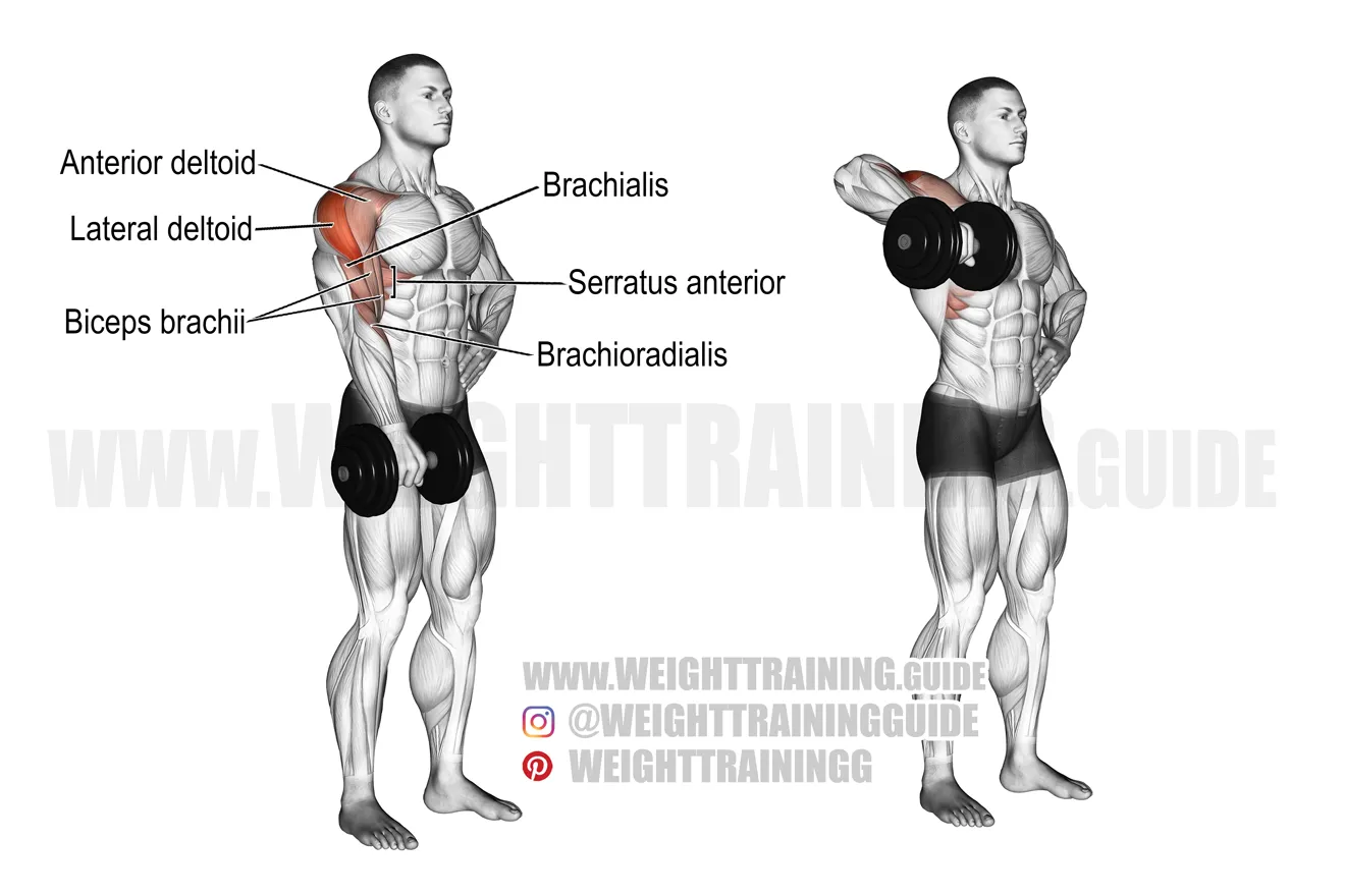 Dumbbell Upright Row