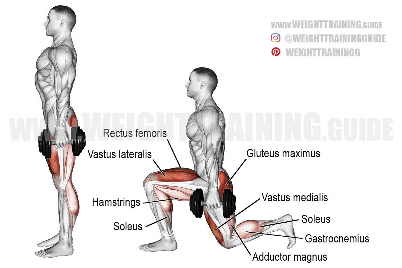 Dumbbell Lunges