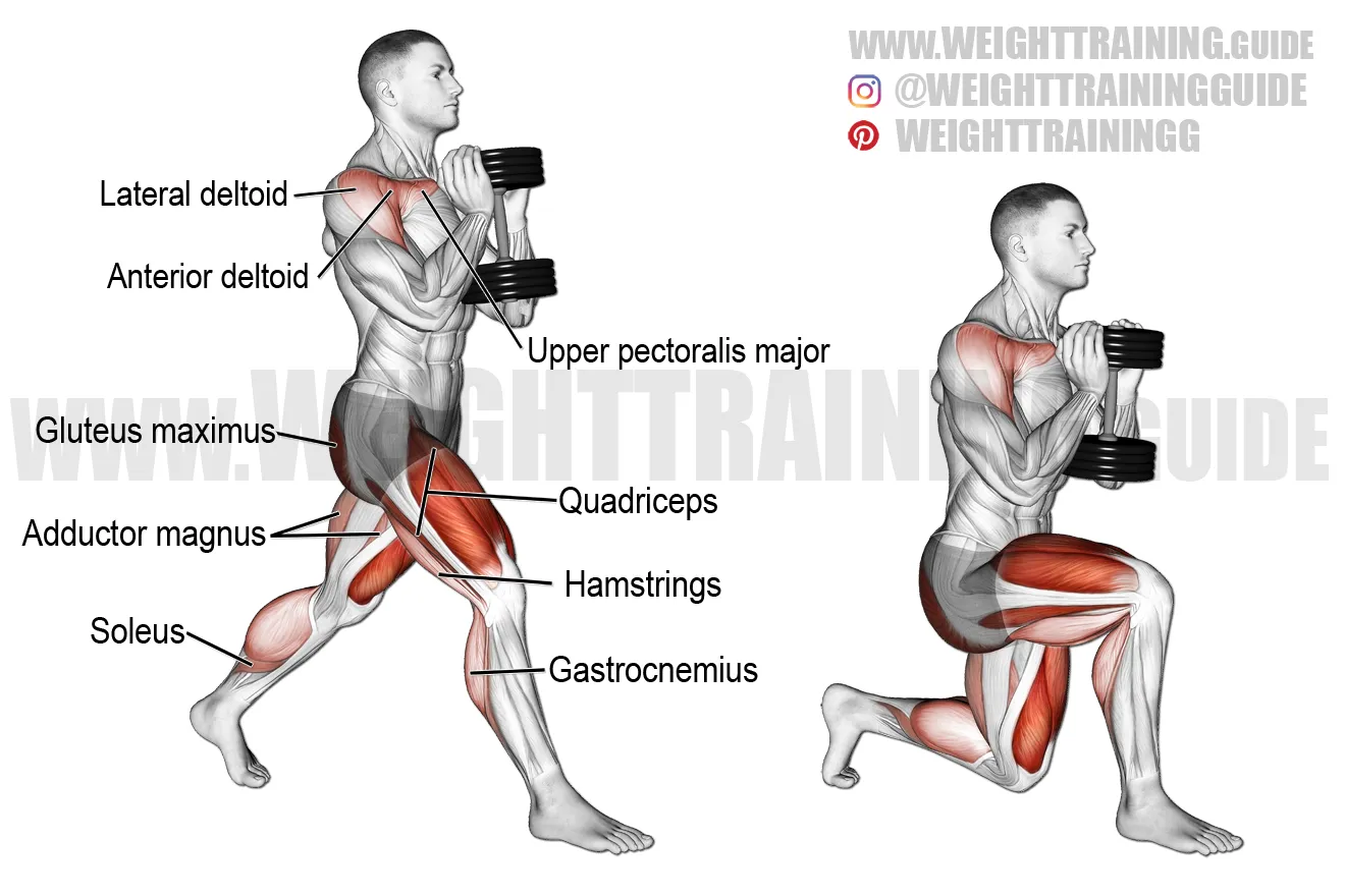 Dumbbell Goblet Squat